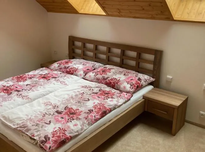 Strelenka Сasa de vacaciones Janov nad Nisou